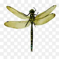 水彩画 油漆 湿墨水-空若网 水彩画 油漆 湿墨水-空若网