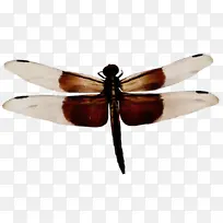 水彩画 油漆 湿墨水-空若网 水彩画 油漆 湿墨水-空若网