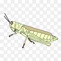 ���� ���� ����-������