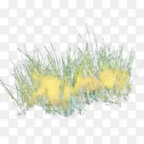 波普艺术 复古 草-空若网 波普艺术 复古 草-空若网