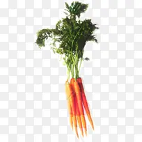 ���ܲ� ʳƷ �߲�-������