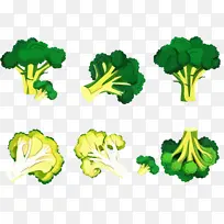 采购产品绿色 叶 植物茎-空若网 采购产品绿色 叶 植物茎-空若网