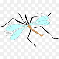 蚊子 昆虫 苍蝇-空若网 蚊子 昆虫 苍蝇-空若网