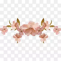 切花花束植物茎郁金香-50-空若网 切花花束植物茎郁金香-50-空若网