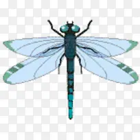 ���� ���� ����-������