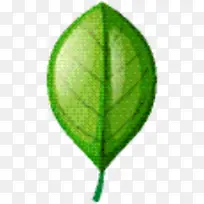 叶子 绿色 树-空若网 叶子 绿色 树-空若网
