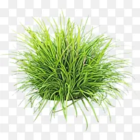 水彩画 颜料 湿墨-空若网 水彩画 颜料 湿墨-空若网