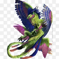 羽毛 紫色 喙-空若网 羽毛 紫色 喙-空若网