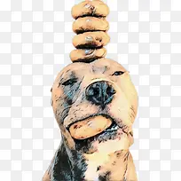 �������� ���� ����-������