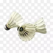 ��ë������-��ë��-������