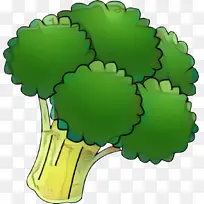 意大利集团 蔬菜 花椰菜-空若网 意大利集团 蔬菜 花椰菜-空若网