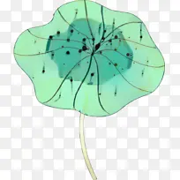 花瓣 绿色 叶子-空若网 花瓣 绿色 叶子-空若网