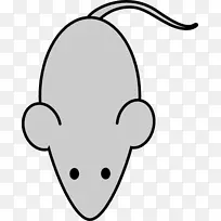 ±Ç×Ó ÏßÌõÒÕÊõ ¿¨Í¨-¿ÕÈôÍø ±Ç×Ó ÏßÌõÒÕÊõ ¿¨Í¨-¿ÕÈôÍø