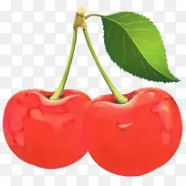 巴巴多斯樱桃 食品 超级食品-空若网 巴巴多斯樱桃 食品 超级食品-空若网