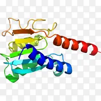 昆虫 虱子 动物-空若网 昆虫 虱子 动物-空若网