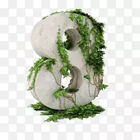 �ٱ����ְ���������.�پ�����8-������