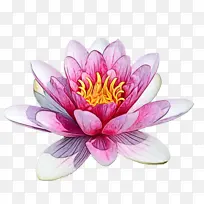 ˮ�� ���� ʪī-������