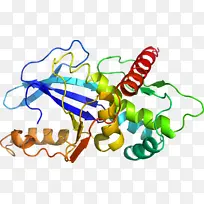 昆虫 线 传粉者-空若网 昆虫 线 传粉者-空若网