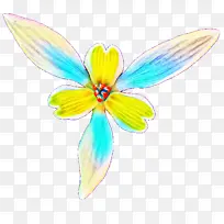 ºûµû »¨ À¥³æ-¿ÕÈôÍø ºûµû »¨ À¥³æ-¿ÕÈôÍø