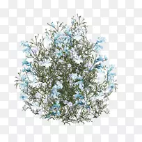 玫瑰蓝剪贴画-蓝色花-空若网 玫瑰蓝剪贴画-蓝色花-空若网