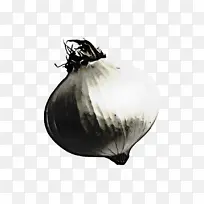 昆虫 薄膜 蔬菜-空若网 昆虫 薄膜 蔬菜-空若网