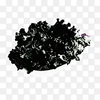 ʳ�ú��� �߲� ��ɫ-������