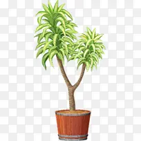 ��Ѫ�� ����� ����-������