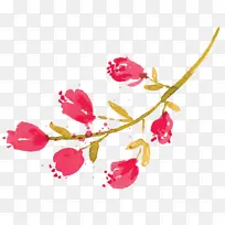 花卉设计 植物 植物茎-空若网 花卉设计 植物 植物茎-空若网