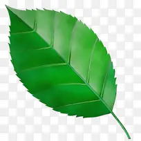 ˮ�ʻ� ���� ʪīˮ-������