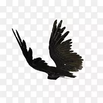 翅膀天使剪贴画-天使翅膀-空若网 翅膀天使剪贴画-天使翅膀-空若网