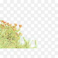 卡通 草 商品-空若网 卡通 草 商品-空若网