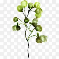 Ê÷Ö¦ Ö²Îï¾¥ Ò¶-¿ÕÈôÍø Ê÷Ö¦ Ö²Îï¾¥ Ò¶-¿ÕÈôÍø