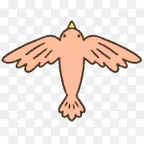 喙 鸟 猛禽-空若网 喙 鸟 猛禽-空若网