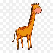 长颈鹿 脖子 动物-空若网 长颈鹿 脖子 动物-空若网