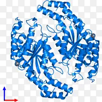 线条 身体珠宝 点-空若网 线条 身体珠宝 点-空若网