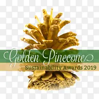 ��Ҷ��Բ׶�� ���� Բ׶��-������