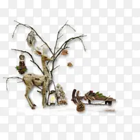 ��֦ ľͷ ����Ĵ�-������