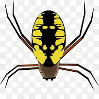 网页设计 昆虫 黄色-空若网 网页设计 昆虫 黄色-空若网