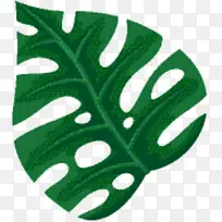 叶子 树 绿色-空若网 叶子 树 绿色-空若网