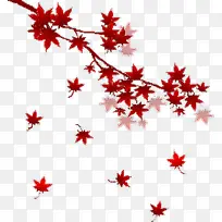 Ë®²Ê» ÇïÌì »¨-¿ÕÈôÍø Ë®²Ê» ÇïÌì »¨-¿ÕÈôÍø