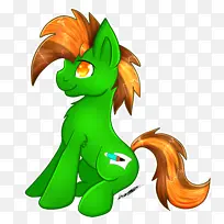 马 龙 开花植物-空若网 马 龙 开花植物-空若网