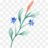 花瓣 植物茎 草本植物-空若网 花瓣 植物茎 草本植物-空若网