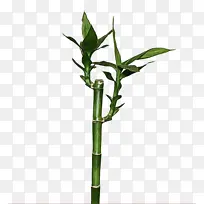 水彩 油漆 湿墨-空若网 水彩 油漆 湿墨-空若网