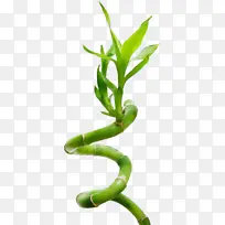 水彩 油漆 湿墨-空若网 水彩 油漆 湿墨-空若网