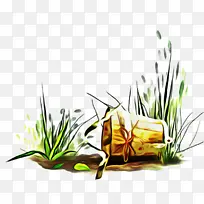 草 桌面壁纸 商品-空若网 草 桌面壁纸 商品-空若网