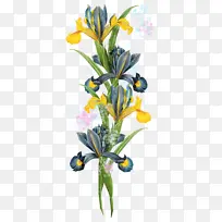 �滭 ˮ�ʻ� �β-������