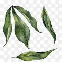 ˮ�ʻ� ĵ�� ��-������