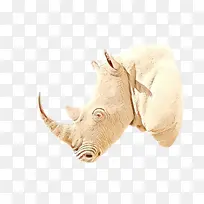 卡通 动物 鼻子-空若网 卡通 动物 鼻子-空若网