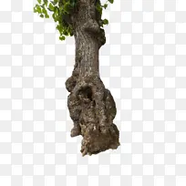 库存摄影 摄影 像素-空若网 库存摄影 摄影 像素-空若网