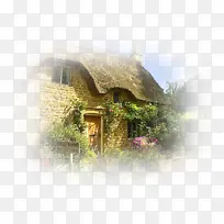 ���� ���� ����-������